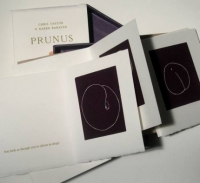 Taylor Chris Taylor Chris