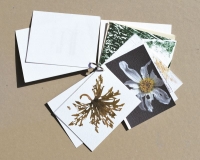 Allsebrook Janet   Allsebrook Janet